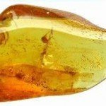Significado y caracteristicas de la piedra ambar